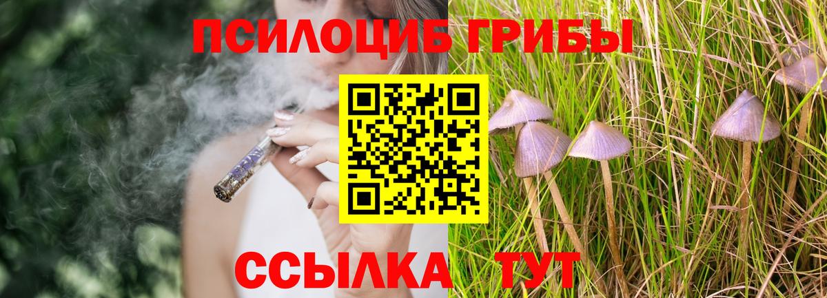 Псилоцибиновые грибы GOLDEN TEACHER  наркотики  Псилоцибиновые грибы MAGIC MUSHROOMS  Симферополь  Вход с VPN 