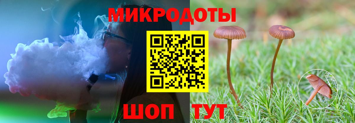 Псилоцибиновые грибы Cubensis Симферополь